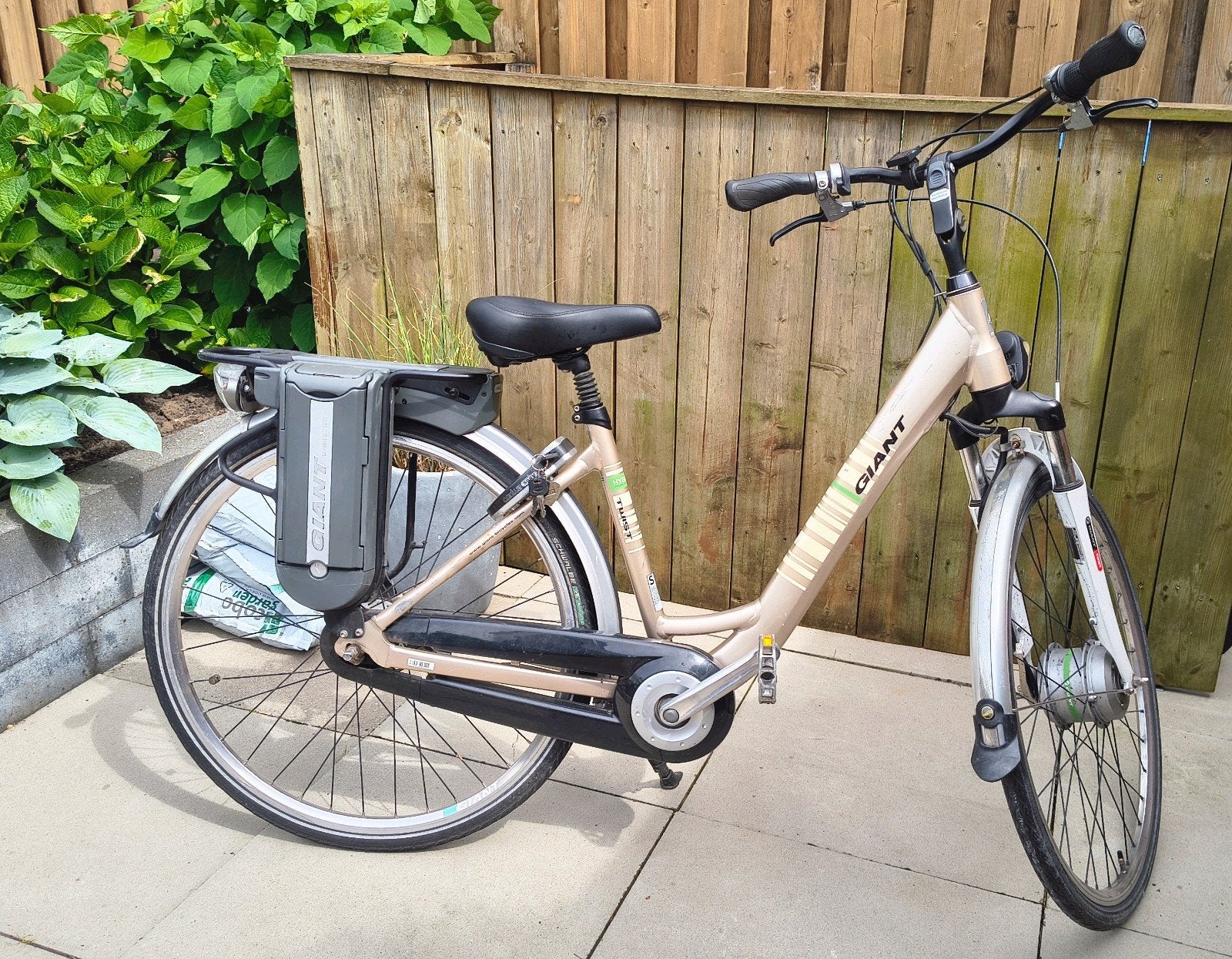Giant twist E-Bike, 47 tot 51 cm, Ophalen of Verzenden, Gebruikt, Giant