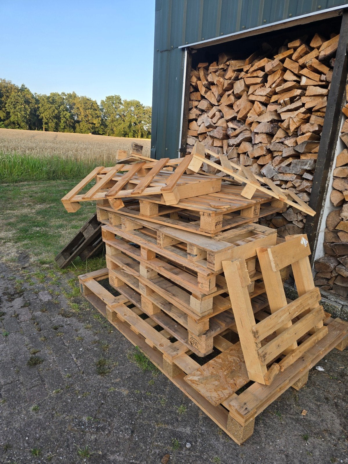 Gratis pallets, Tuin en Terras, Haardhout, 6 m³ of meer, Ophalen of Verzenden, Overige houtsoorten, Blokken