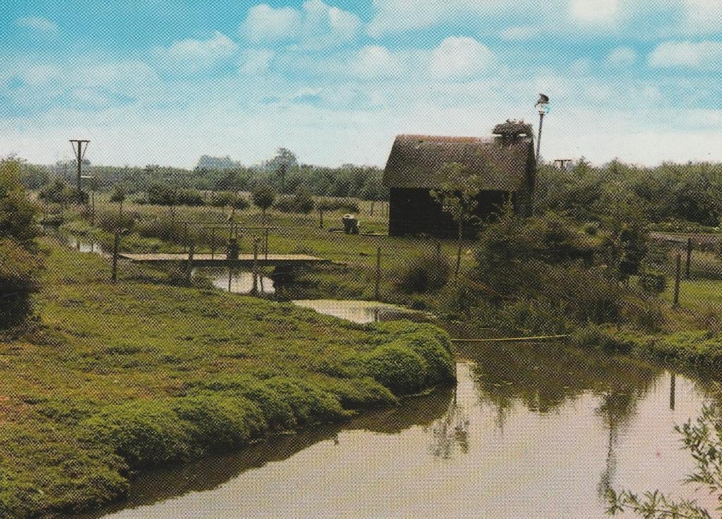 GROOT AMMERS Ooievaarsdorp Het Liesveld, Verzenden, 1980 tot heden, Ongelopen, Zuid-Holland