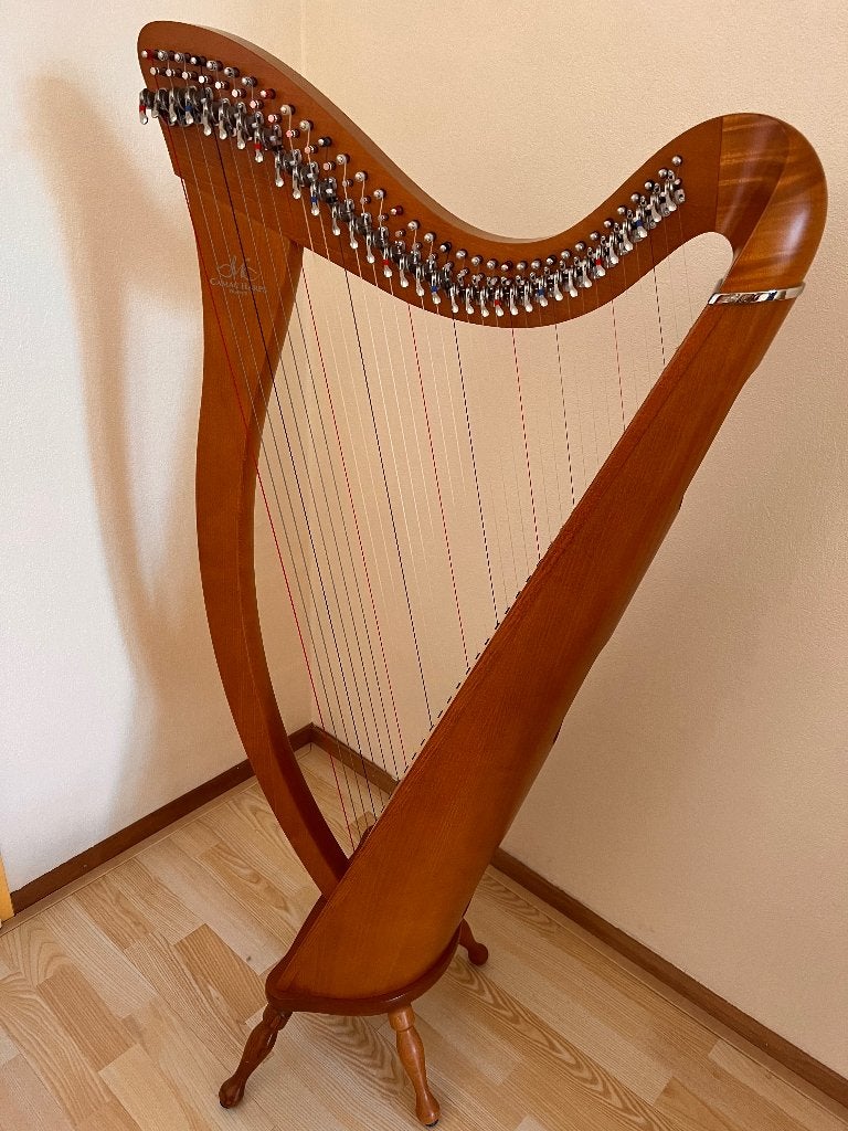 Harp met toebehoren, Ophalen, Gebruikt