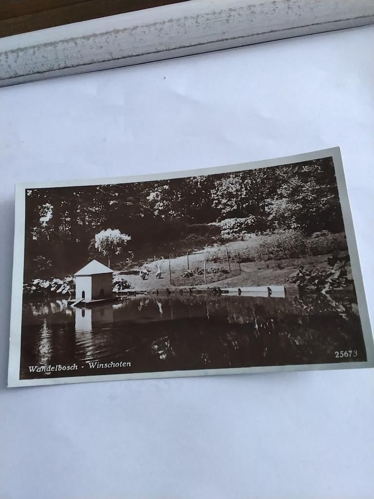WINSCHOTEN. WANDELBOSCH. 1930, Ophalen of Verzenden, 1920 tot 1940, Groningen