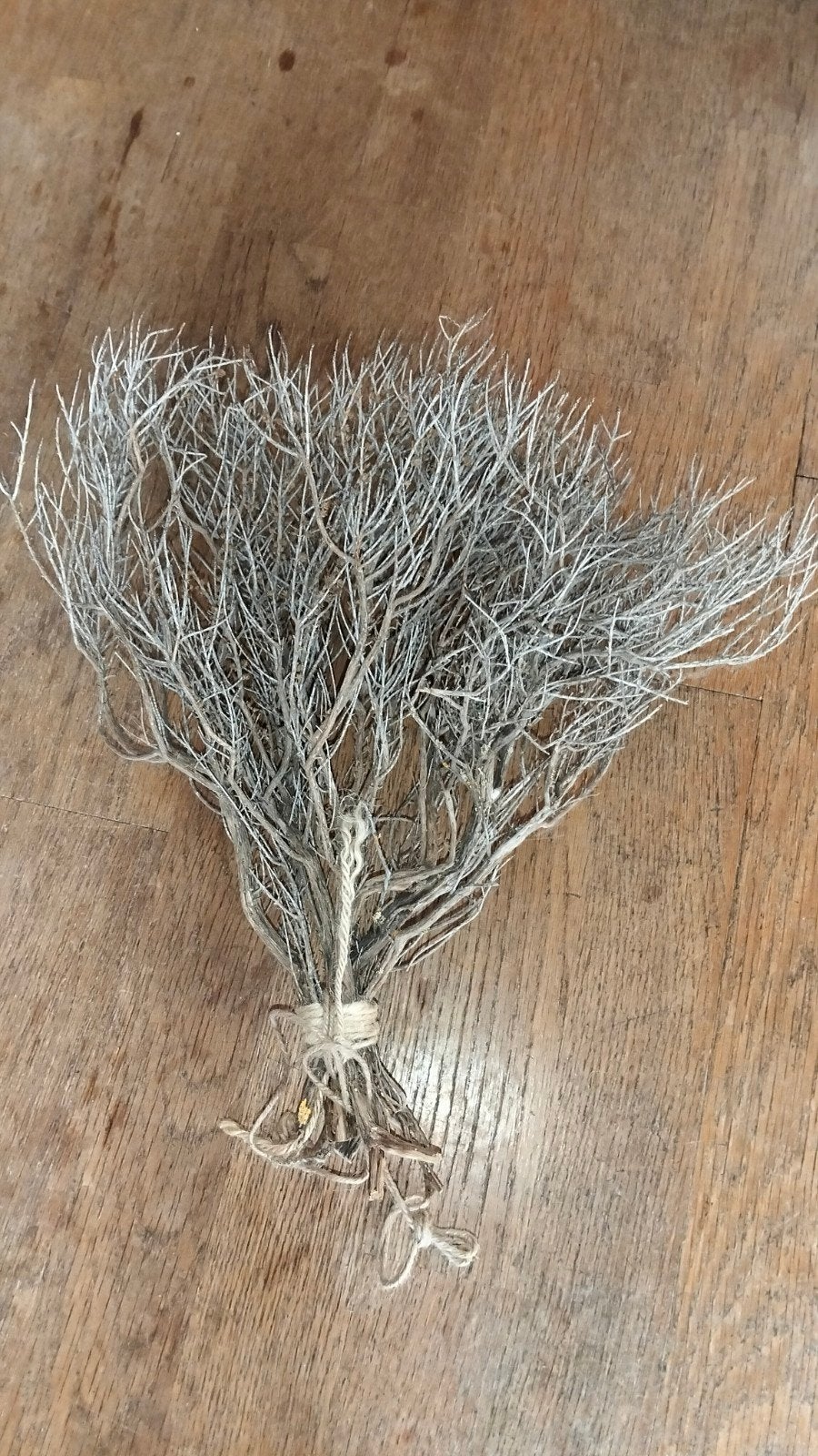 Mooie grotere bos gedroogde takken, Huis en Inrichting, Woonaccessoires | Droogbloemen, Gebruikt, ., Ophalen of Verzenden, .