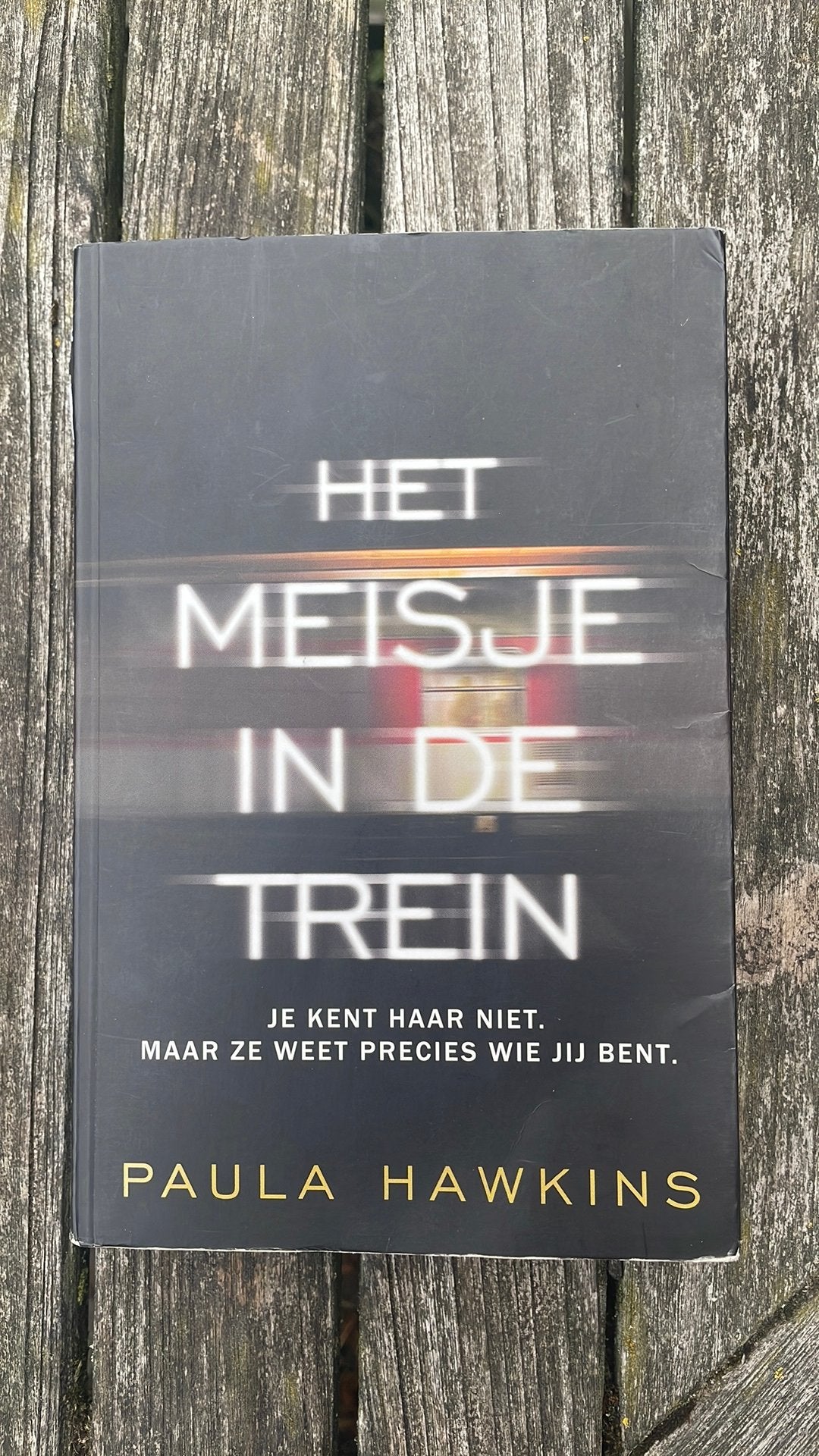 Het meisje in de trein, Ophalen of Verzenden, Gelezen