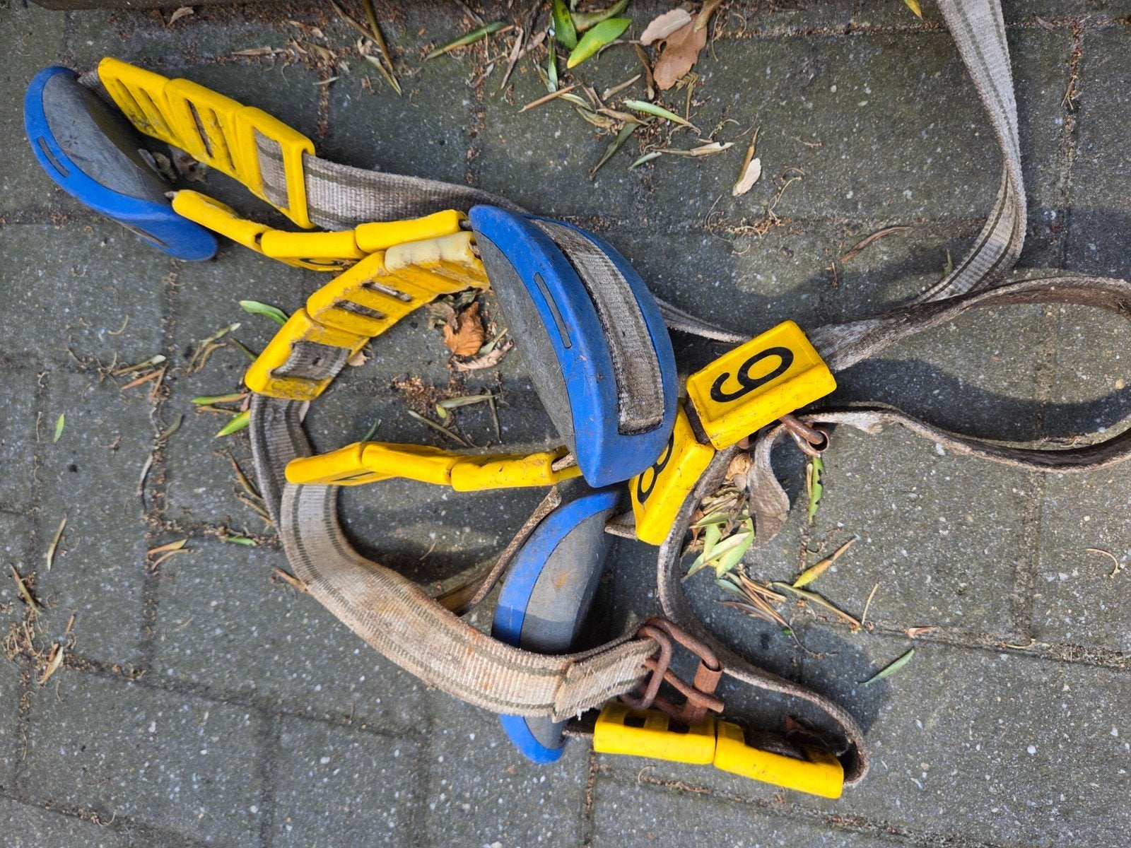 Nedap ovalert iso hals 2019, Dieren en Toebehoren, 3 tot 6 jaar