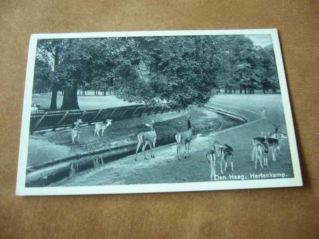 DEN HAAG  =  HERTENKAMP   1938, Ophalen of Verzenden, 1920 tot 1940, Gelopen, Zuid-Holland