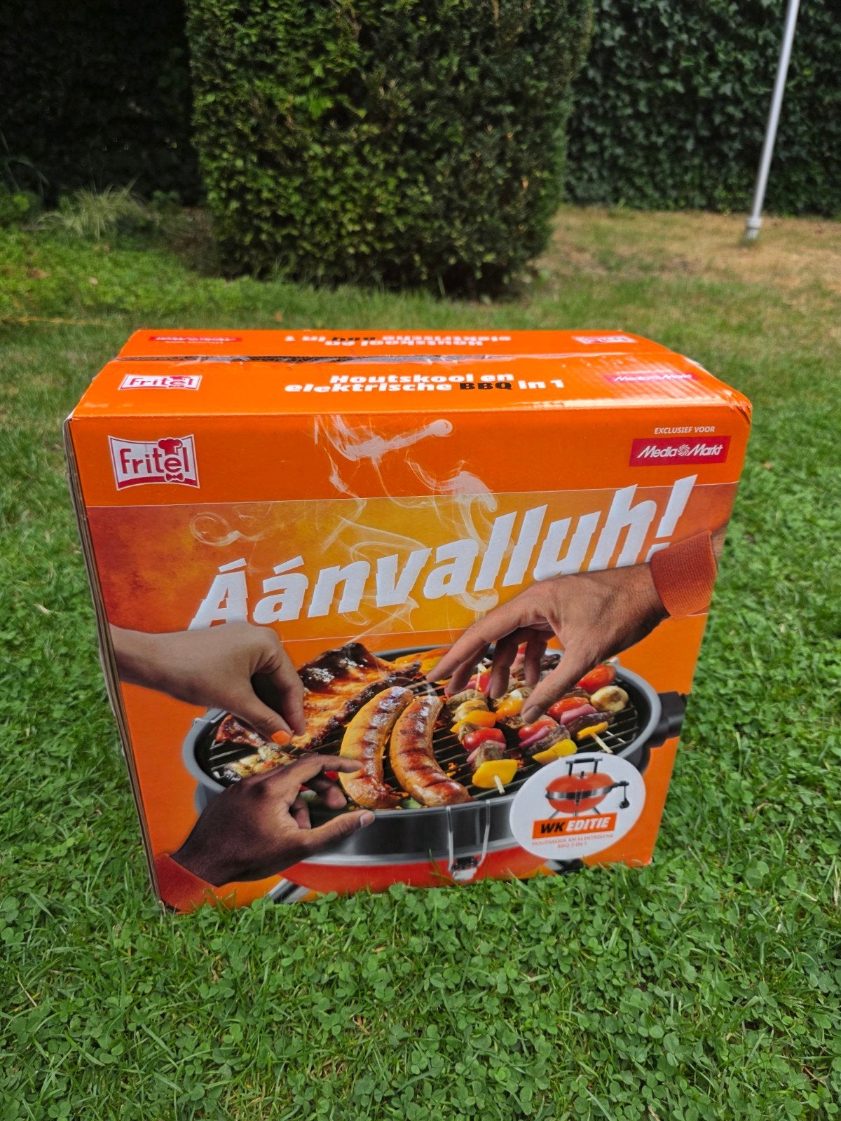Fritel Houtskool en Elektrische BBQ in 1 - Nieuw in doos, Ophalen of Verzenden, Nieuw, Fritel