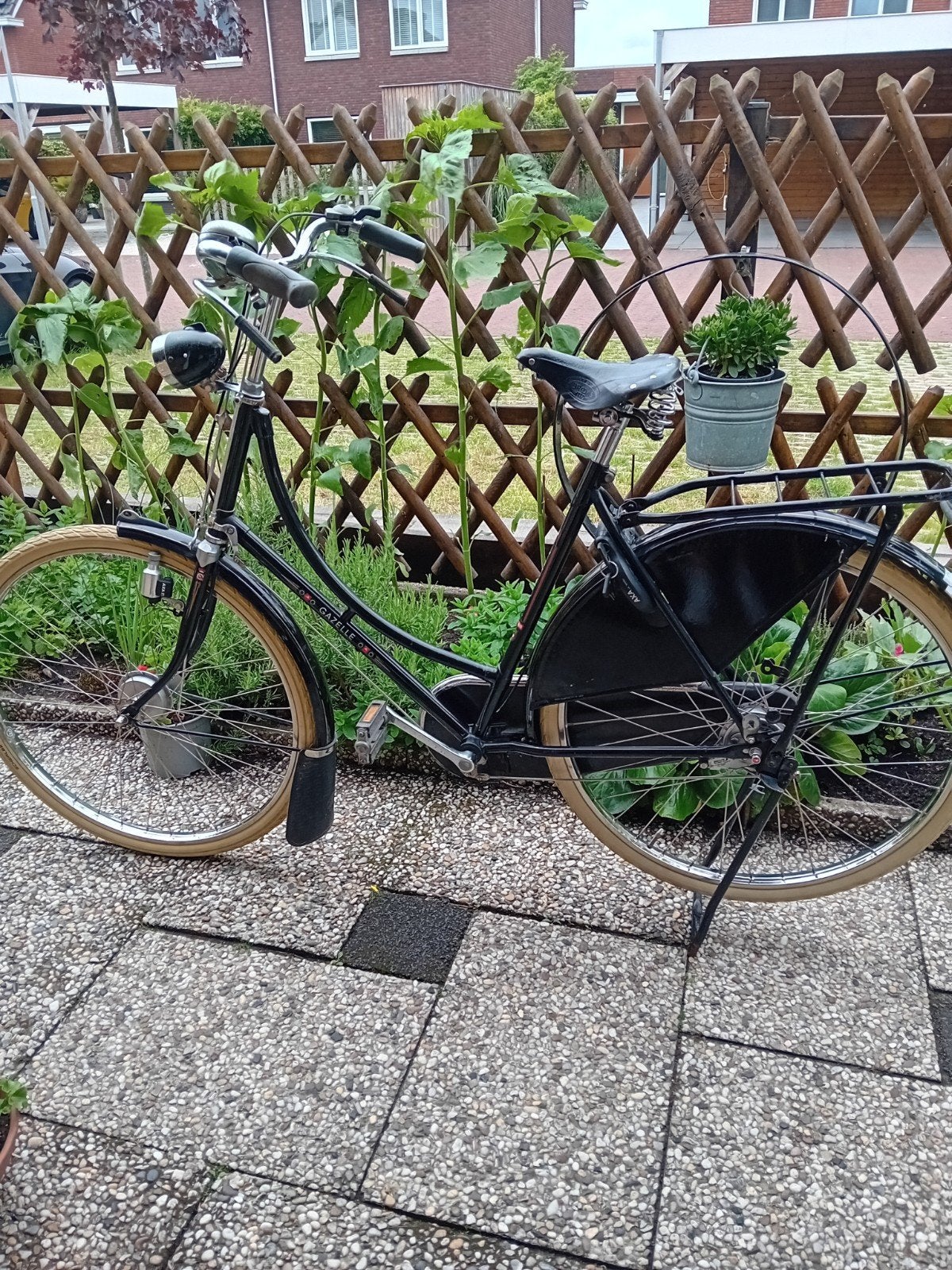 Gazelle Omafiets - gazelle populair, Fietsen en Brommers, Ophalen, Gebruikt, Versnellingen, 56 cm of meer