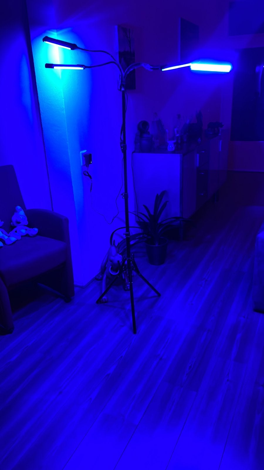 Solarium, Muziek en Instrumenten, Licht en Laser, Ophalen of Verzenden, Nieuw, Licht, Kleur