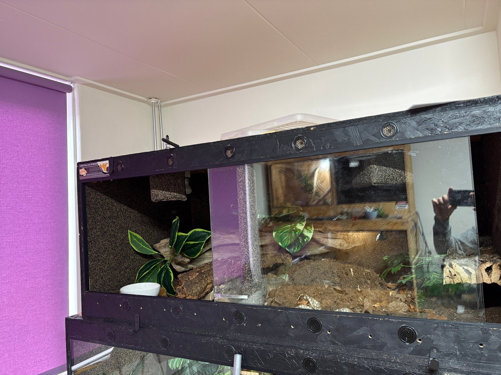 OSB terrarium 140x70x60, Ophalen, Gebruikt, Terrarium of Paludarium