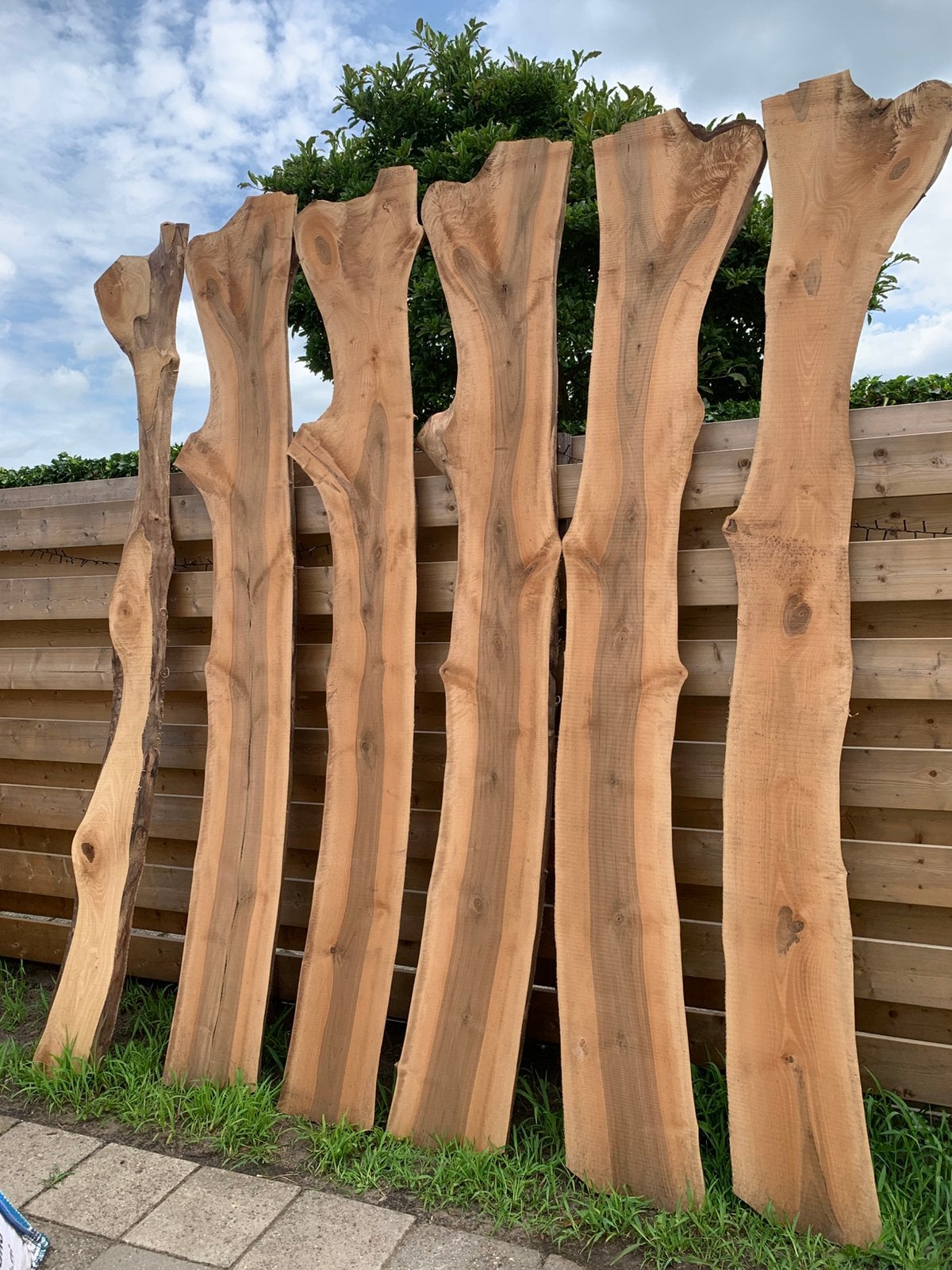 5 mooie walnoot delen te koop 200,- !!, Ophalen, Nieuw, 250 cm of meer, Planken