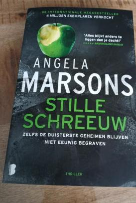 stille schreeuw Angela Marsons 9789022597651, Boeken, Thrillers, Ophalen of Verzenden, Gelezen