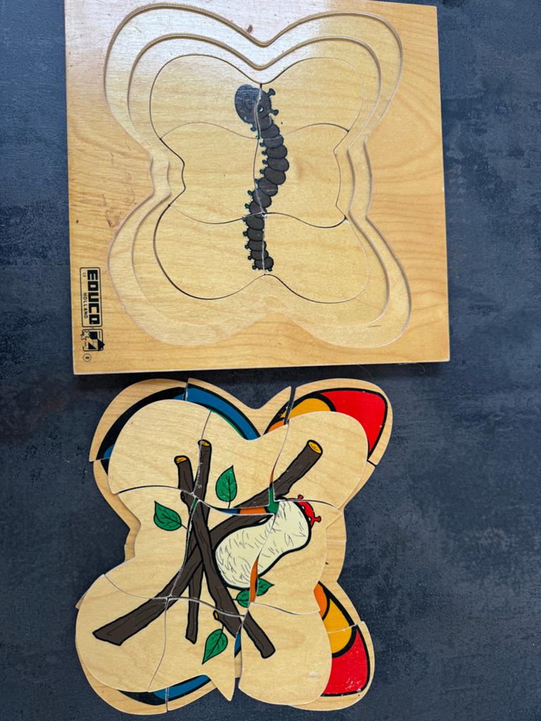 Houten puzzel vlinder levenscyclus Educado, 2 tot 4 jaar, Gebruikt, 10 tot 50 stukjes, Ophalen of Verzenden