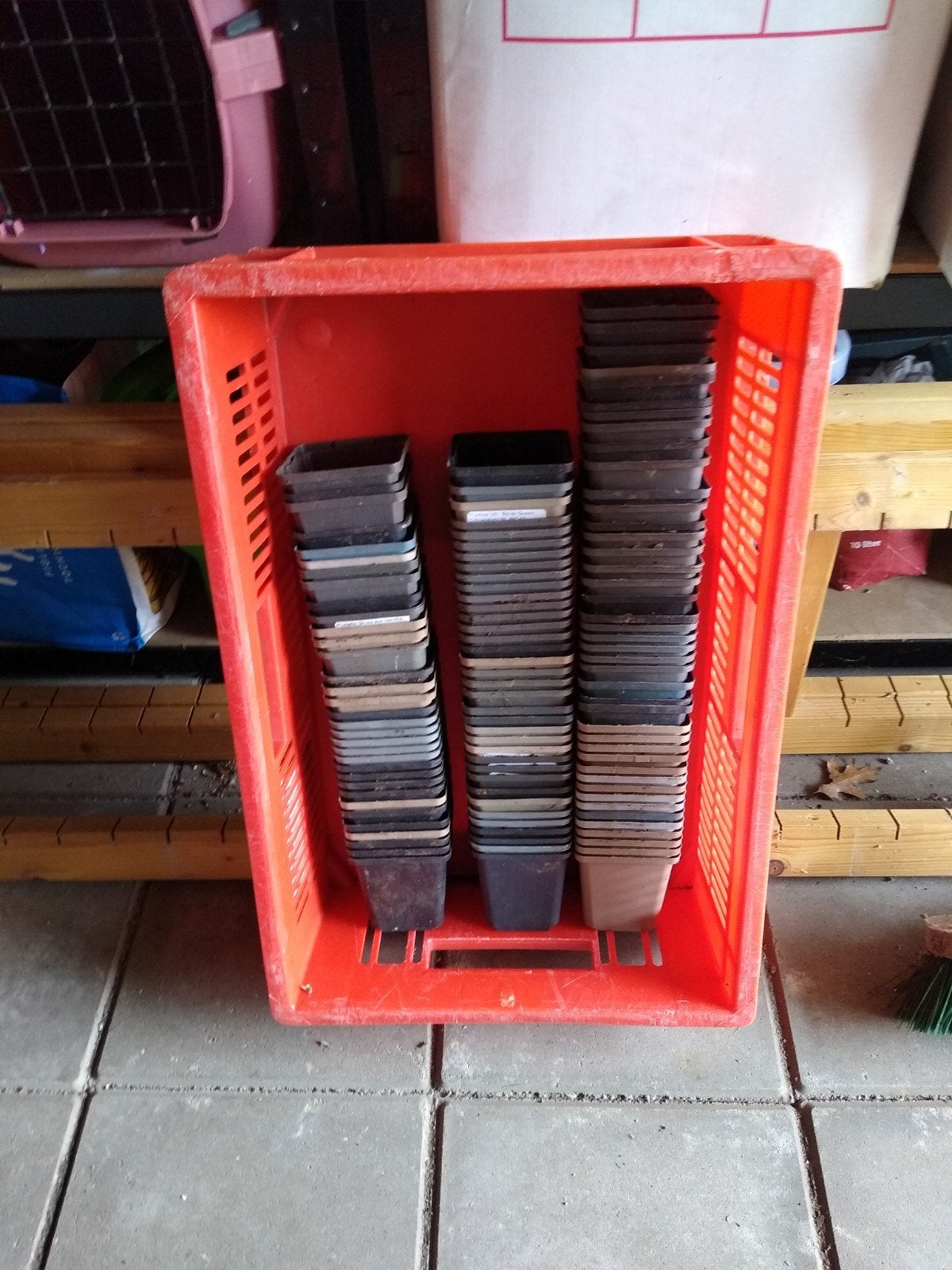 Plant potjes, gratis, Tuin en Terras, Ophalen, Overige soorten, Volle zon