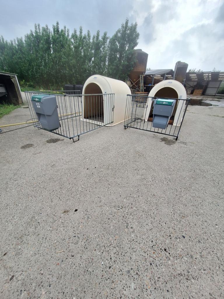 Kalverhutten compleet, Dieren en Toebehoren, Runderen, Meerdere dieren