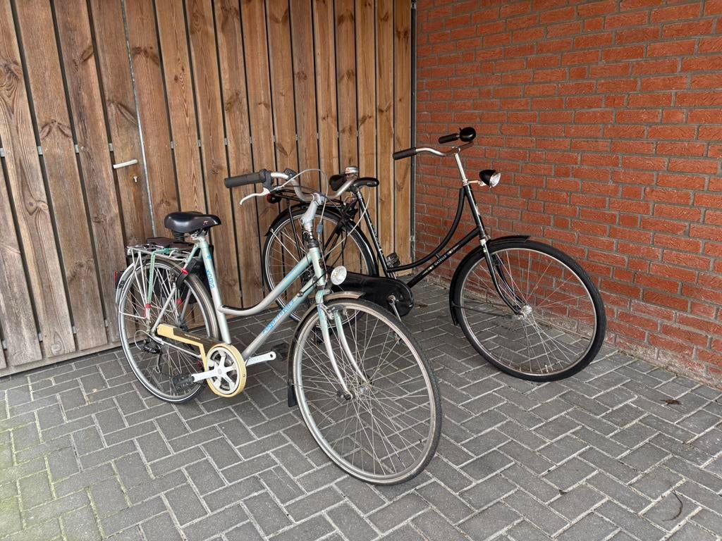 2x opstap of station fietsen, Ophalen of Verzenden, Gebruikt