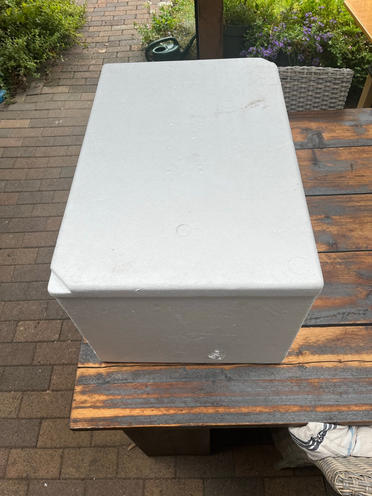 Thermobox  - Ideaal voor koeltransport of isolatie, Ophalen of Verzenden, Gebruikt, Koelbox, Koelelement