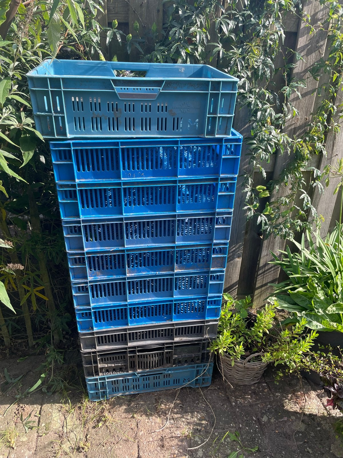Plastic kratten voor fruit, aardappels of uien, Ophalen, Gebruikt, 40 tot 60 cm, 50 tot 75 cm