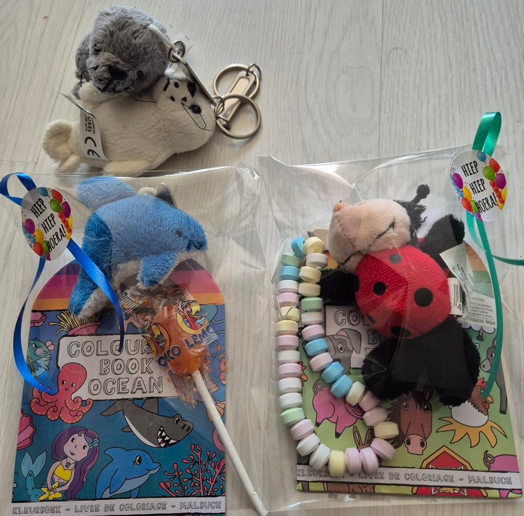 Traktatie kleurboekje+pluche sleutelhanger+snoepje 1.75, Hobby en Vrije tijd, Feestartikelen, Ophalen of Verzenden, Nieuw, Feestartikel
