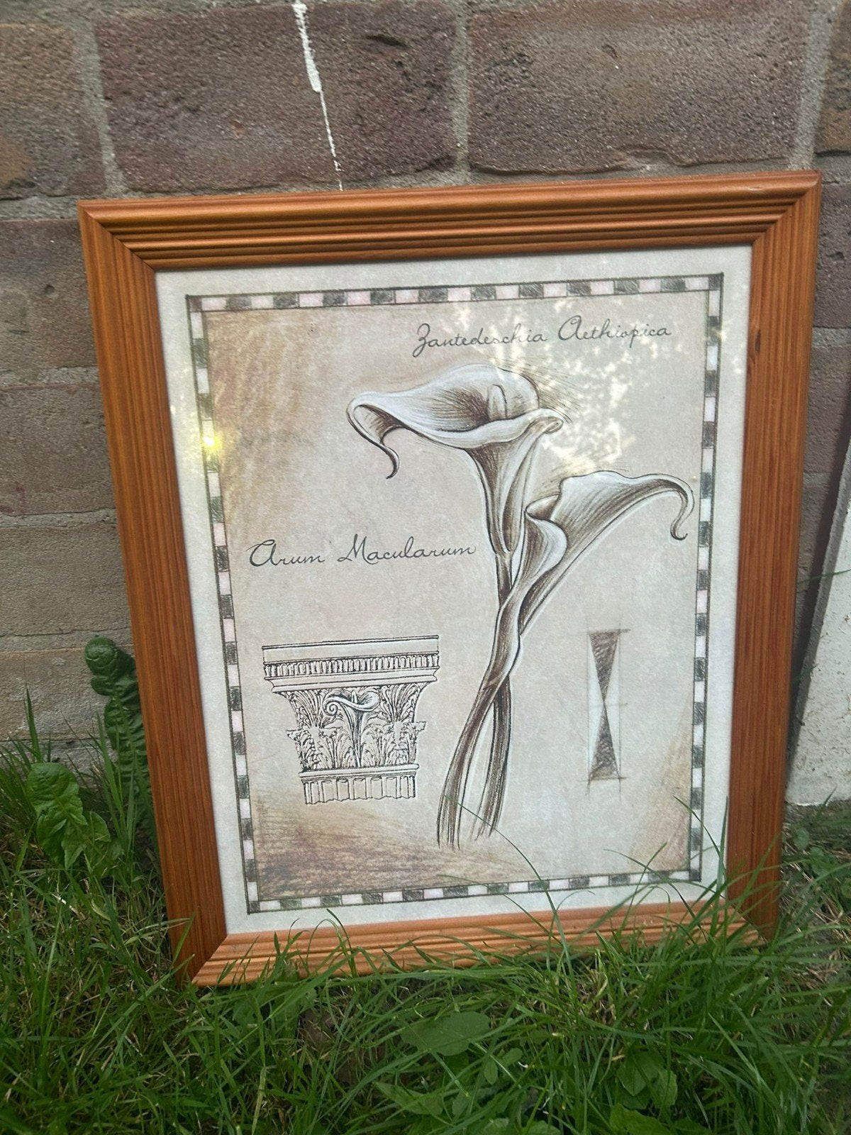 tekening in frame, Antiek en Kunst, Ophalen