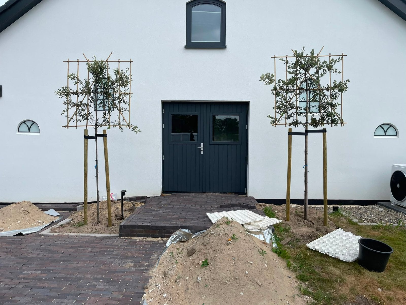 Lei laurier lei steeneik lei glansmisplelen leilaurier, In pot, Leiboom, Halfschaduw, Ophalen of Verzenden