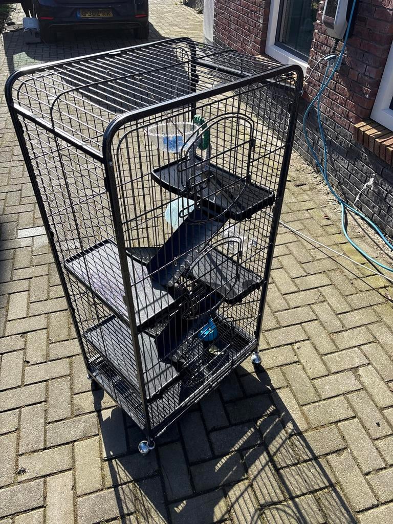 Kooi hok rat, Dieren en Toebehoren, Knaagdieren en Konijnen | Hokken en Kooien, Ophalen of Verzenden, Hok, Rat, Minder dan 60 cm