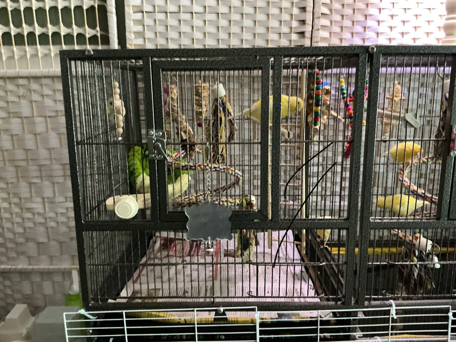 Grote kooi voor de kanarie s  het zijn twee  en 4 klein hok, Dieren en Toebehoren, Ophalen, Zo goed als nieuw, Metaal, Vogelkooi