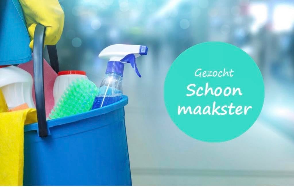 Schoonmaakster gezocht, Diensten en Vakmensen, Huishoudelijke hulp, Wassen
