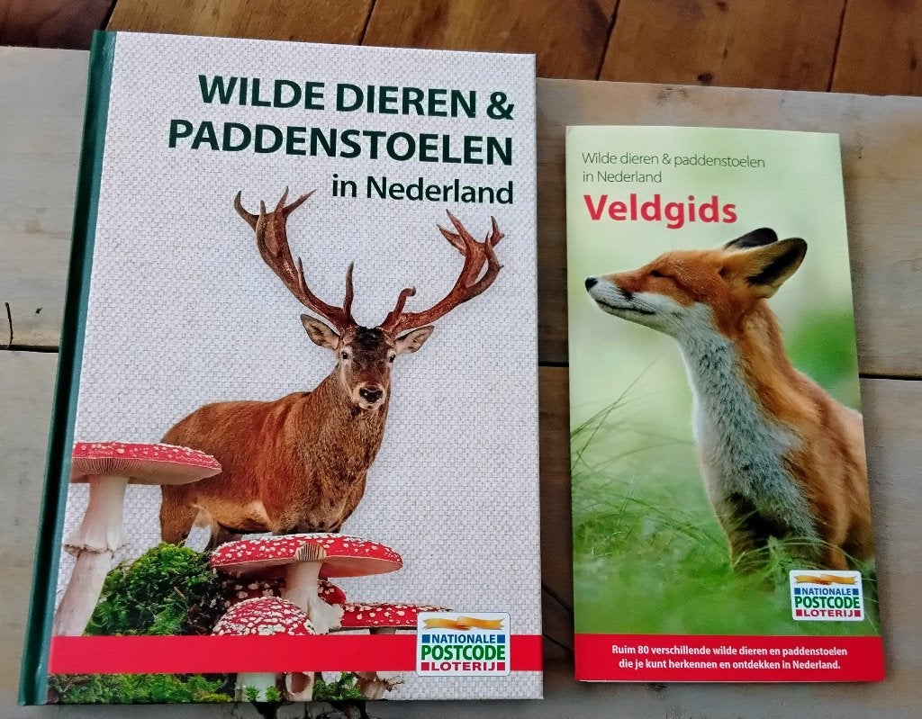 Wilde dieren & paddestoelen in Nederland + veldgids - nieuw, Ophalen of Verzenden, Nieuw, Natuur algemeen