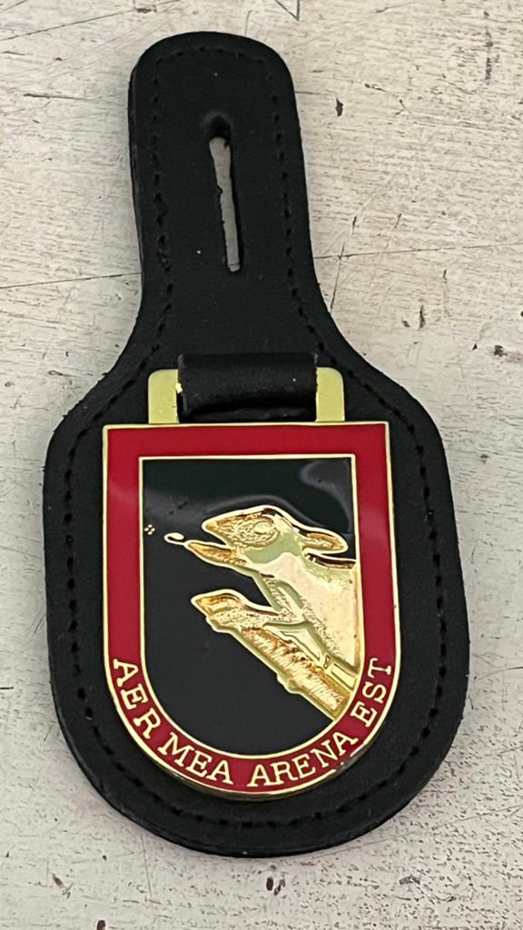 Borstzakhanger 25e AFD. PANTSER LUCHTDOEL ARTLLERIE, Verzamelen, Ophalen of Verzenden, Embleem of Badge