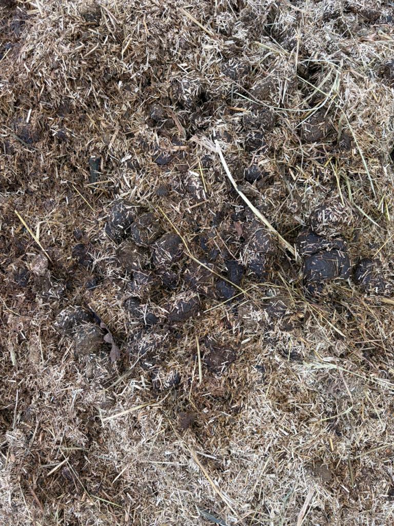 Gratis! Paardenmest met vlas, Ophalen, Tuinaarde