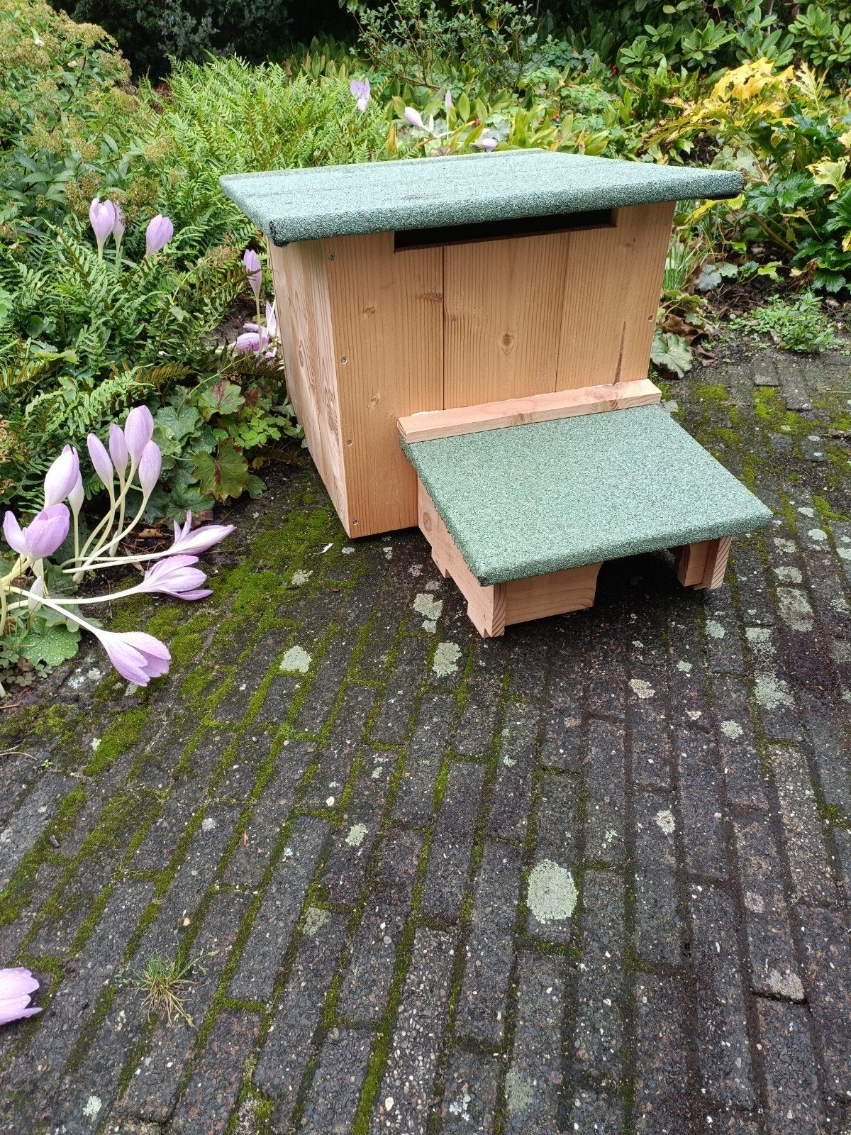Egelhuis Hedgy Home 1.0 Egelhok, Ophalen, Nieuw