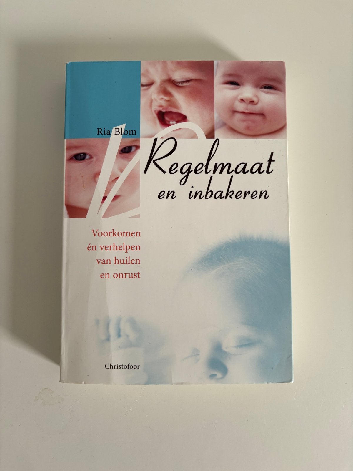 Regelmaat en inbakeren - Ria Blom, Boeken, Ophalen of Verzenden, Gelezen, Zwangerschap en Bevalling