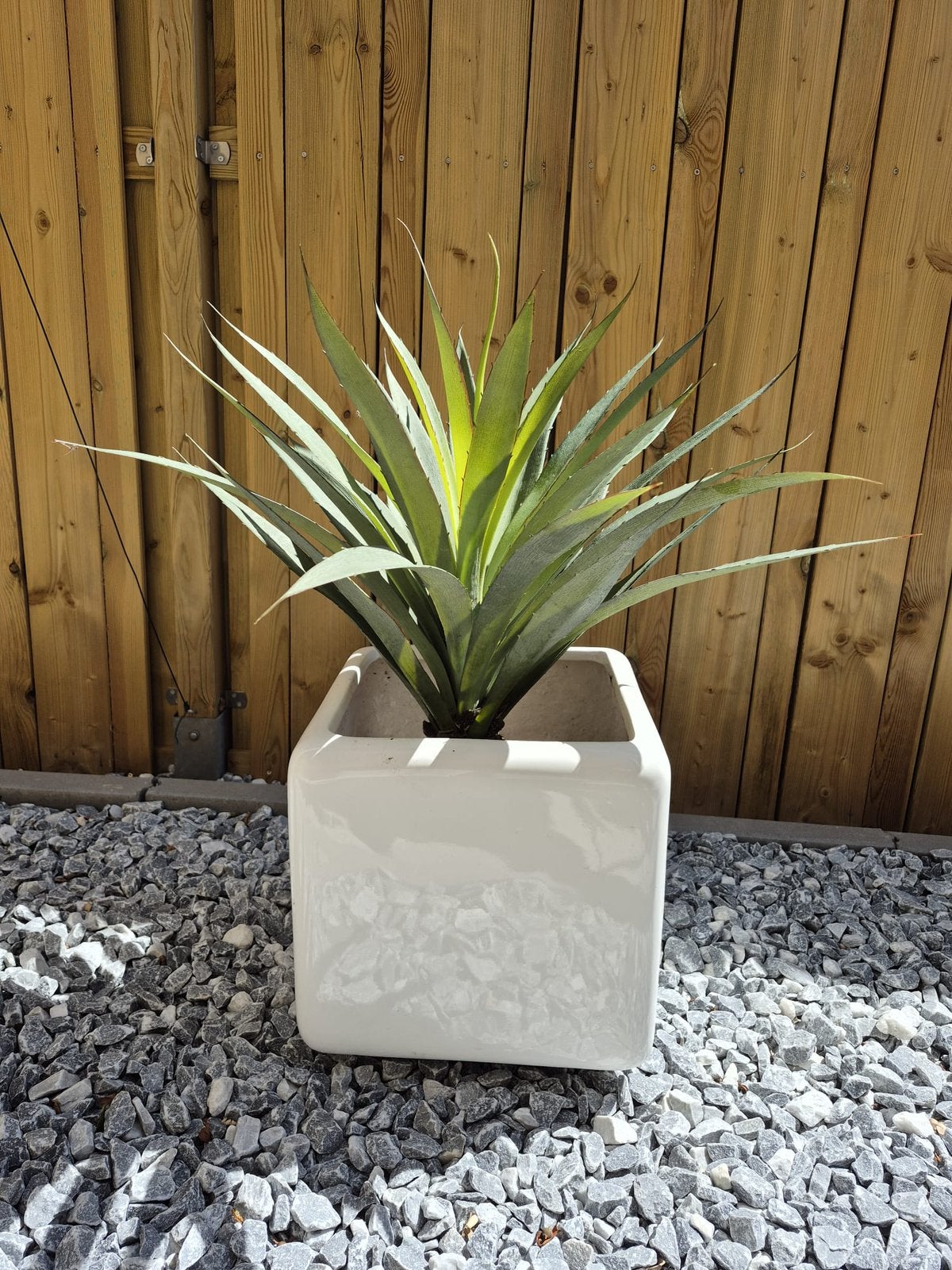 Kunstplant Cactus met pot van merk Peter van Son, Ophalen, Groen, Kunstplant, Overige materialen
