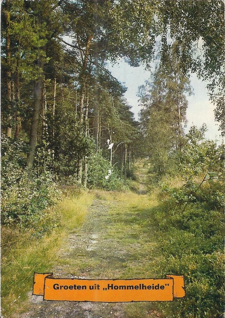 X73 Gelopen ansichtkaart groeten uit hommelheide Susteren, Ophalen of Verzenden, 1980 tot heden, Gelopen