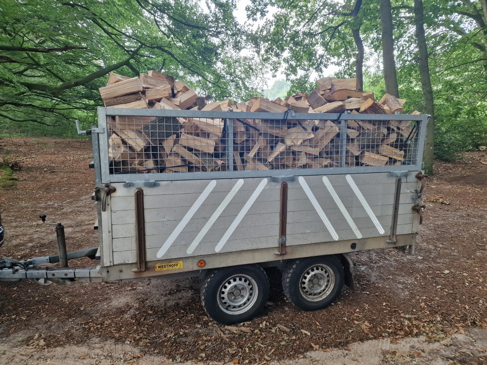 DROGE BEUK EIK HAARDHOUT ARNHEM *KAN THUIS BEZORGD WORDEN, 3 tot 6 m³, Ophalen of Verzenden, Beukenhout, Blokken