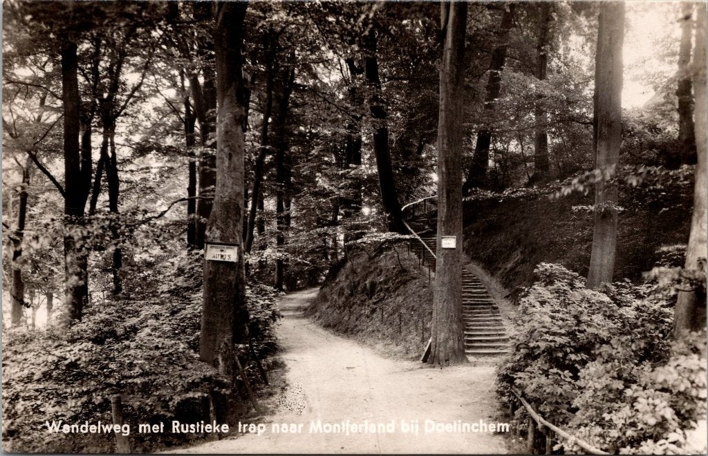 Doetinchem - 11 ansichtkaarten natuur, Verzenden, 1940 tot 1960, Gelopen, Gelderland