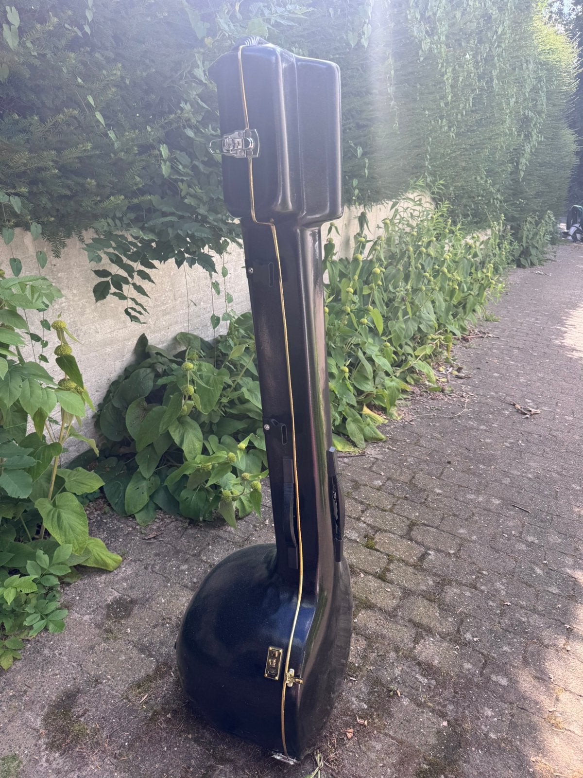 Gratis ophalen Tanpura koffer, Muziek en Instrumenten, Behuizingen en Koffers, Ophalen, Zo goed als nieuw, Overige instrumenten