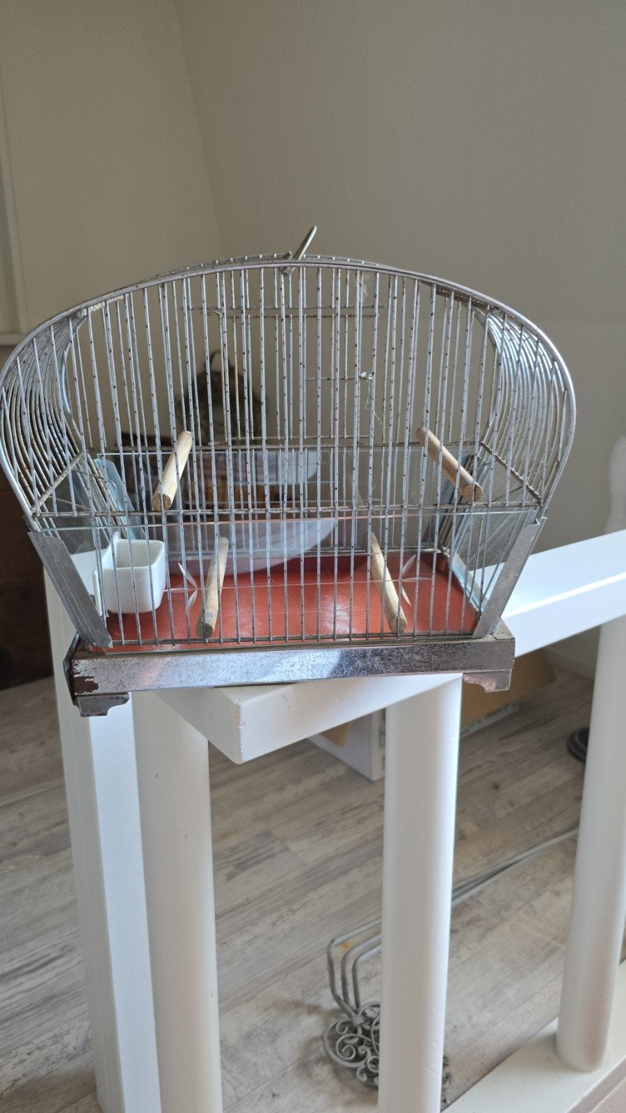 Antieke vogelkooi met geslepen glas en porselein bakje, Ophalen of Verzenden