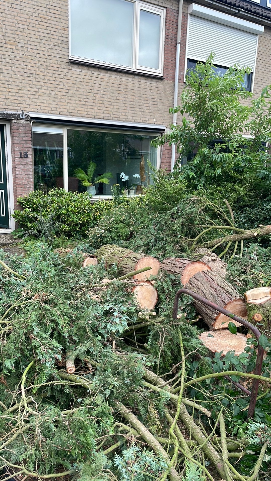 GRATIS (buiten)kachelhout, Ophalen, Halfschaduw, Overige soorten, 100 tot 250 cm