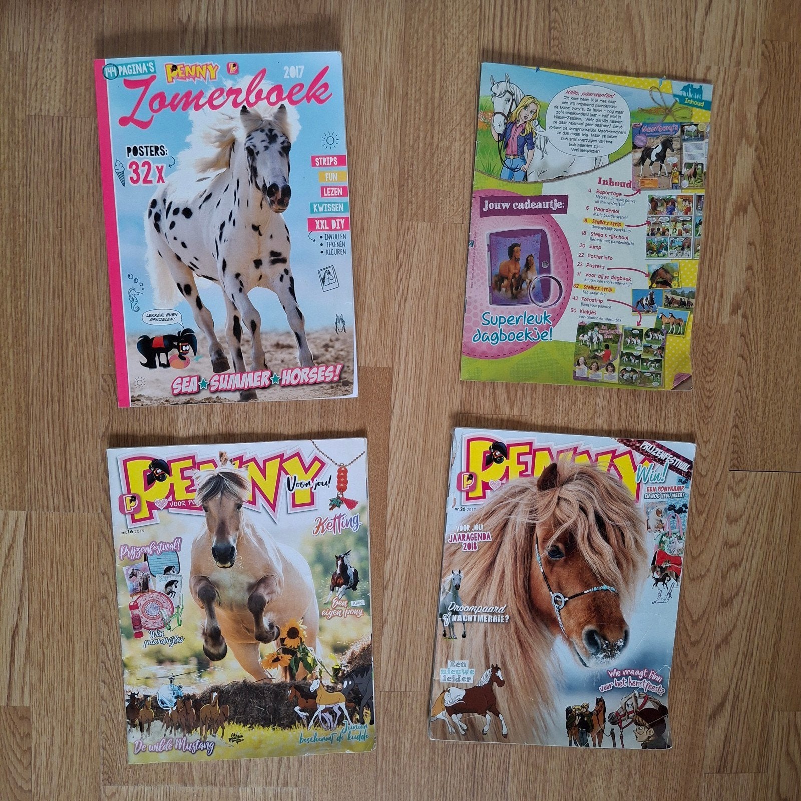 Penny zomerboek, 2 Penny's en 1 Stella, Ophalen of Verzenden, Gelezen, Overige typen
