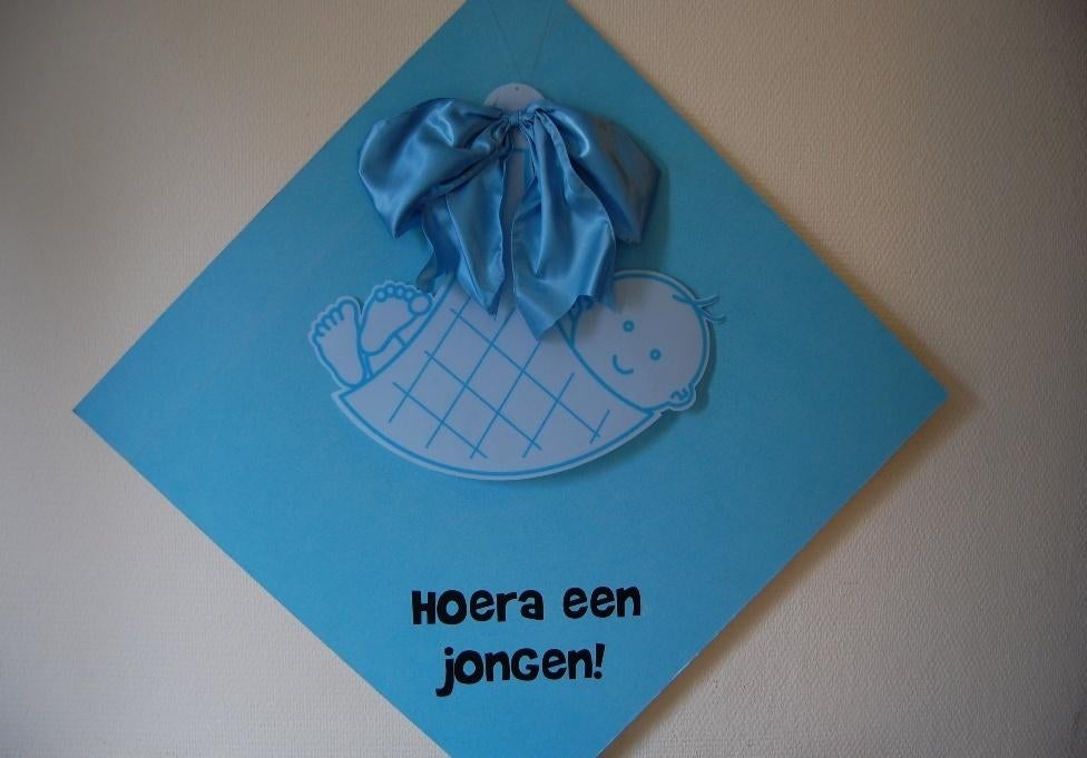 geboortebord hoera een jongen of meisje, Ophalen, Nieuw, Geboortebord