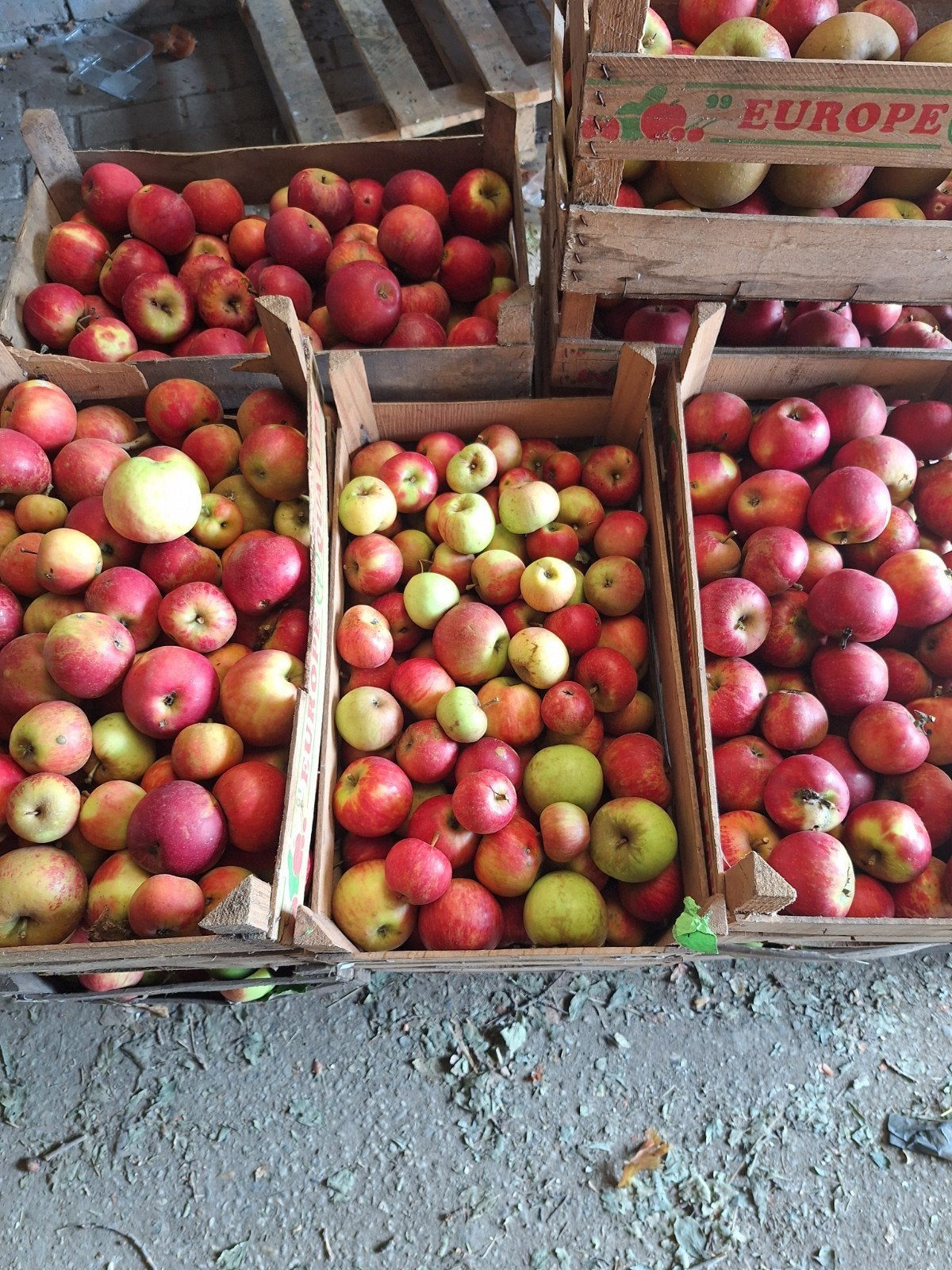 appels voor sap of moes, Ophalen