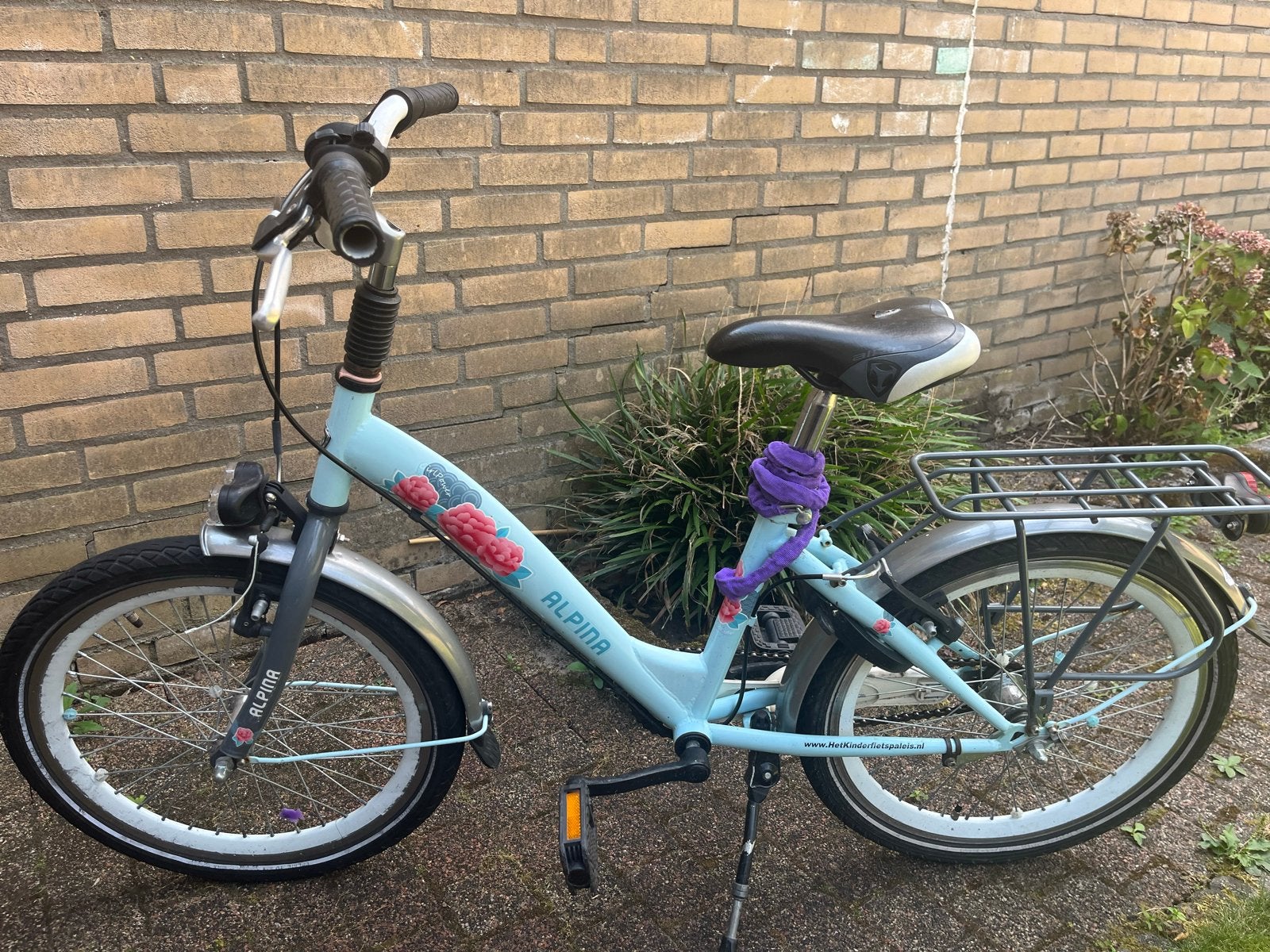 Alpina kinderfiets 20 inch - N.I.G.S, Ophalen, Gebruikt, Velgrem, 20 inch of meer