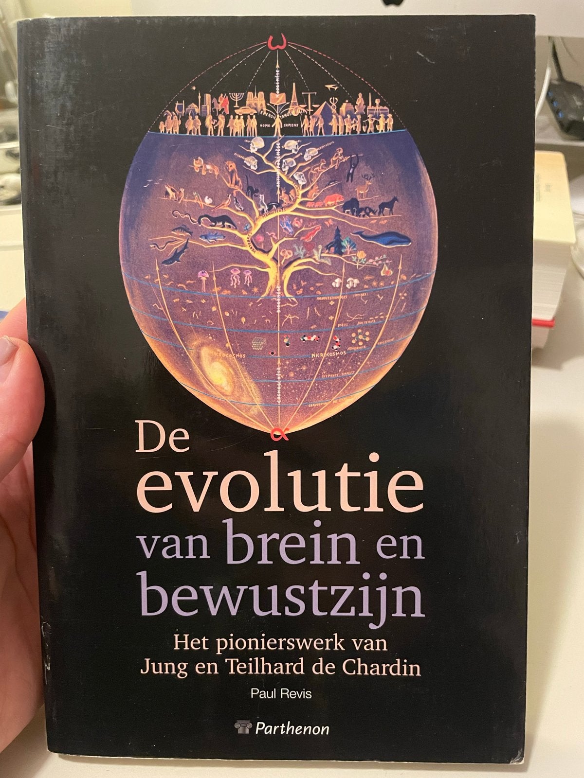 De evolutie van brein en bewustzijn - Paul Revis, Ophalen of Verzenden, Zo goed als nieuw, Geesteswetenschap