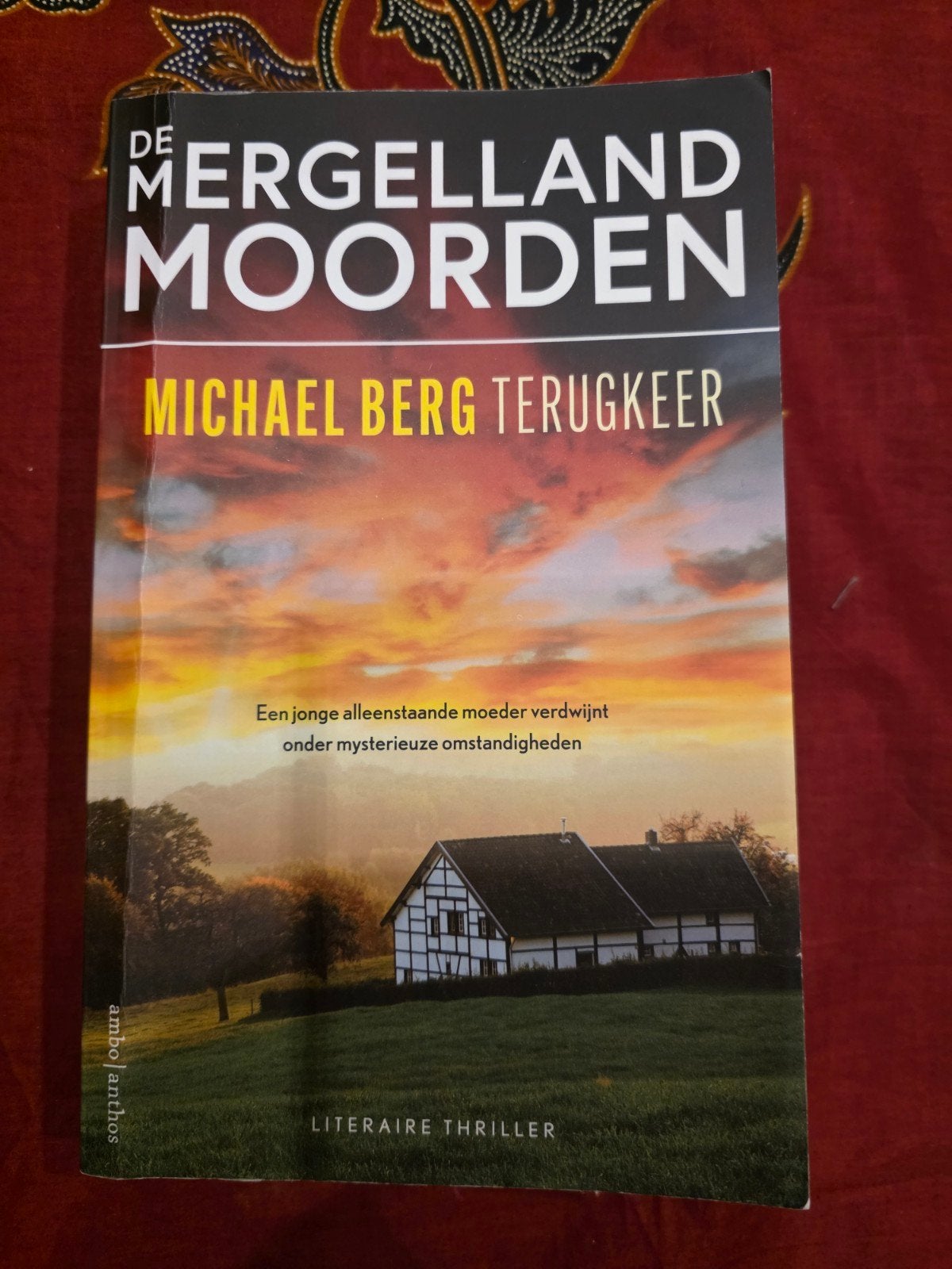 De Mergelland Moorden - Terugkeer - Michael Berg, Boeken, Ophalen of Verzenden, Zo goed als nieuw, Michael Berg, Nederland