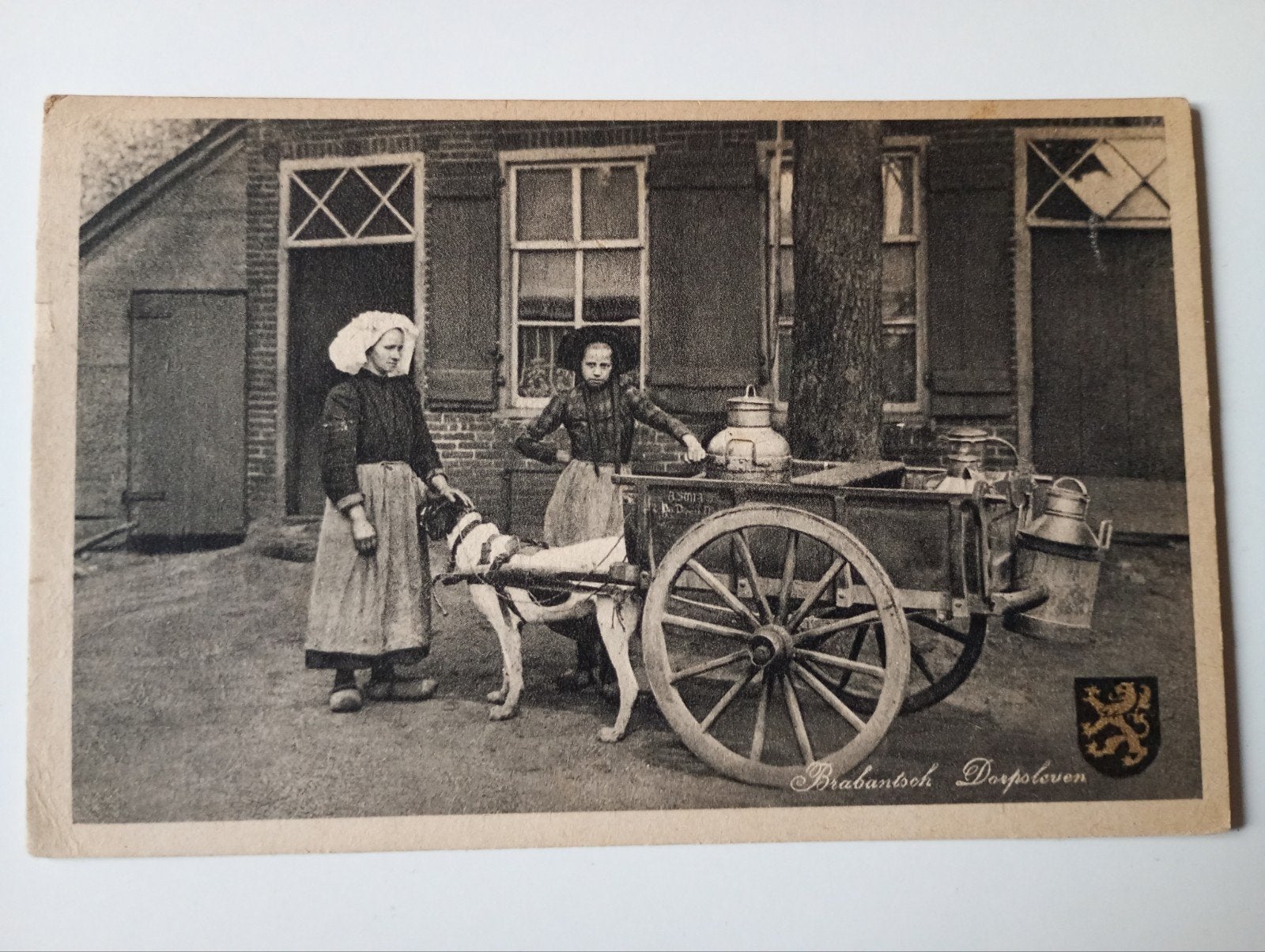 Noord-Brabants Dorpsleven Boerenleven Hondenkar, Ophalen of Verzenden, 1940 tot 1960, Gelopen, Noord-Brabant
