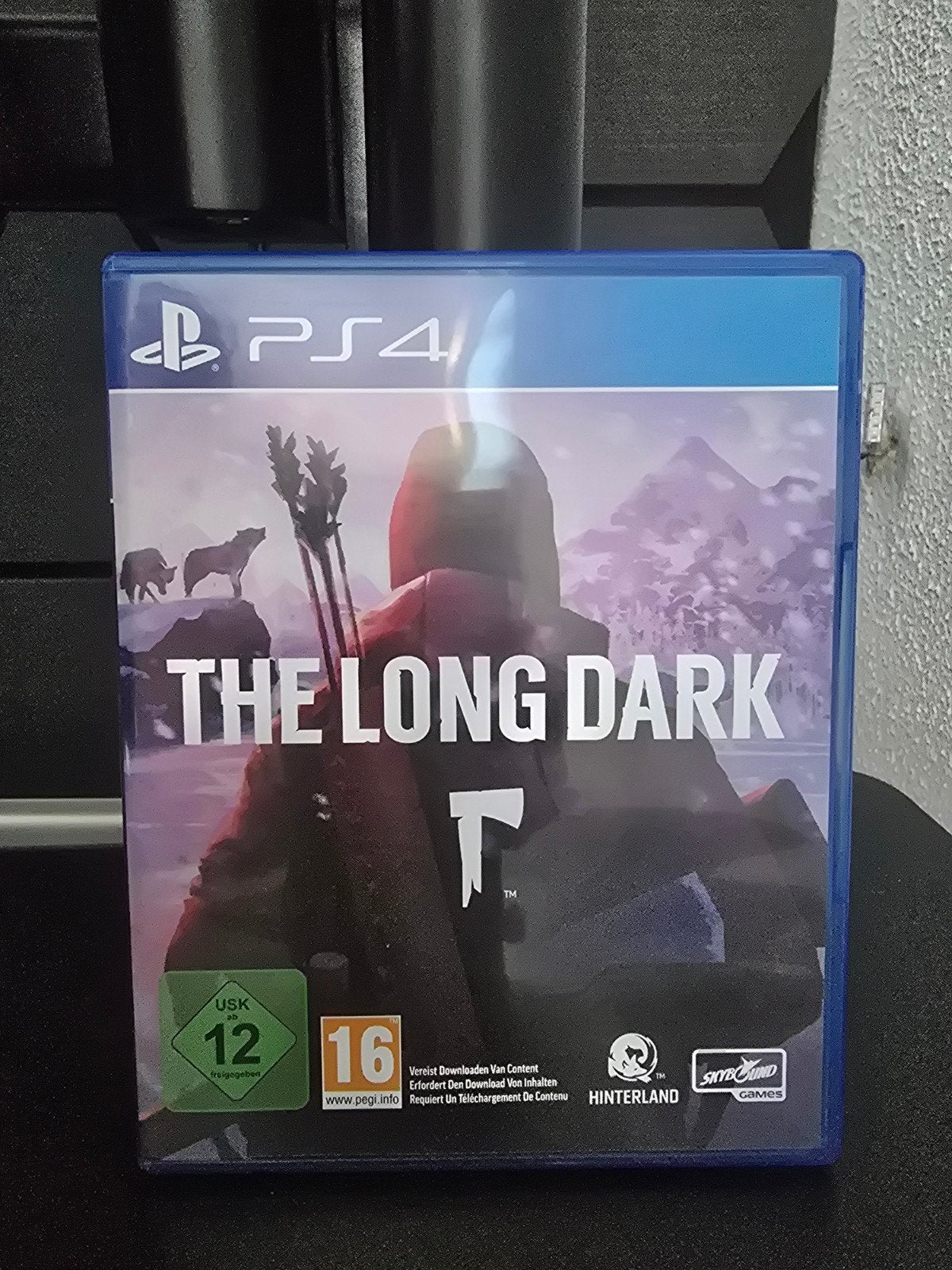 The Long Dark, 1 speler, Ophalen of Verzenden, Zo goed als nieuw, Strategie en Constructie