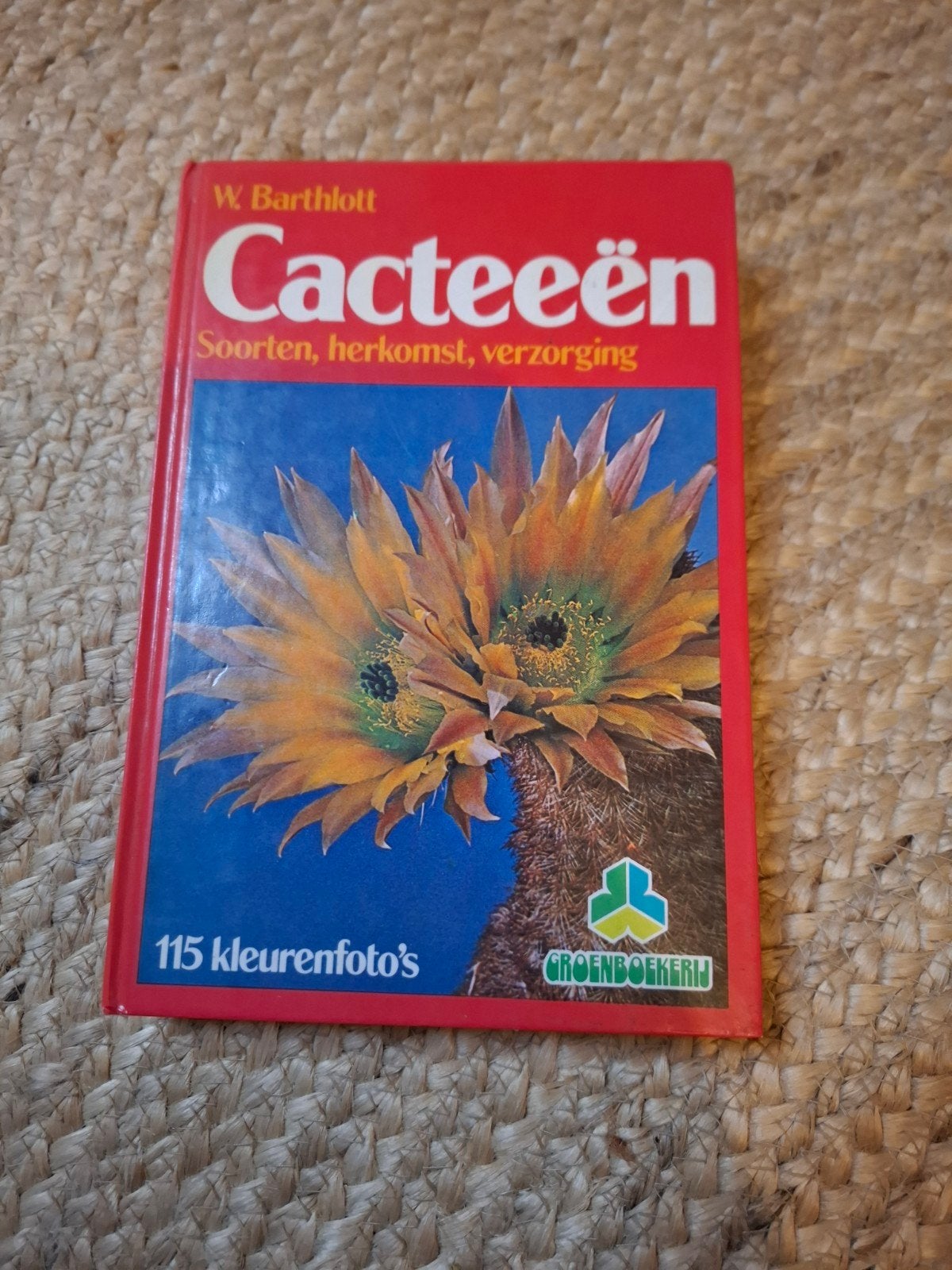 Cacteeën: Soorten, herkomst, verzorging - W. Barthlott, Boeken, Ophalen of Verzenden, Gelezen, Bloemen, Planten en Bomen, W. Barthlott