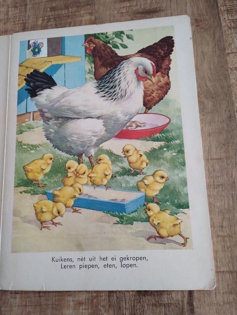 Prentenboek; op de boerderij; Clinge Doorenbos, Gelezen, Fictie algemeen, Jongen of Meisje, Ophalen of Verzenden