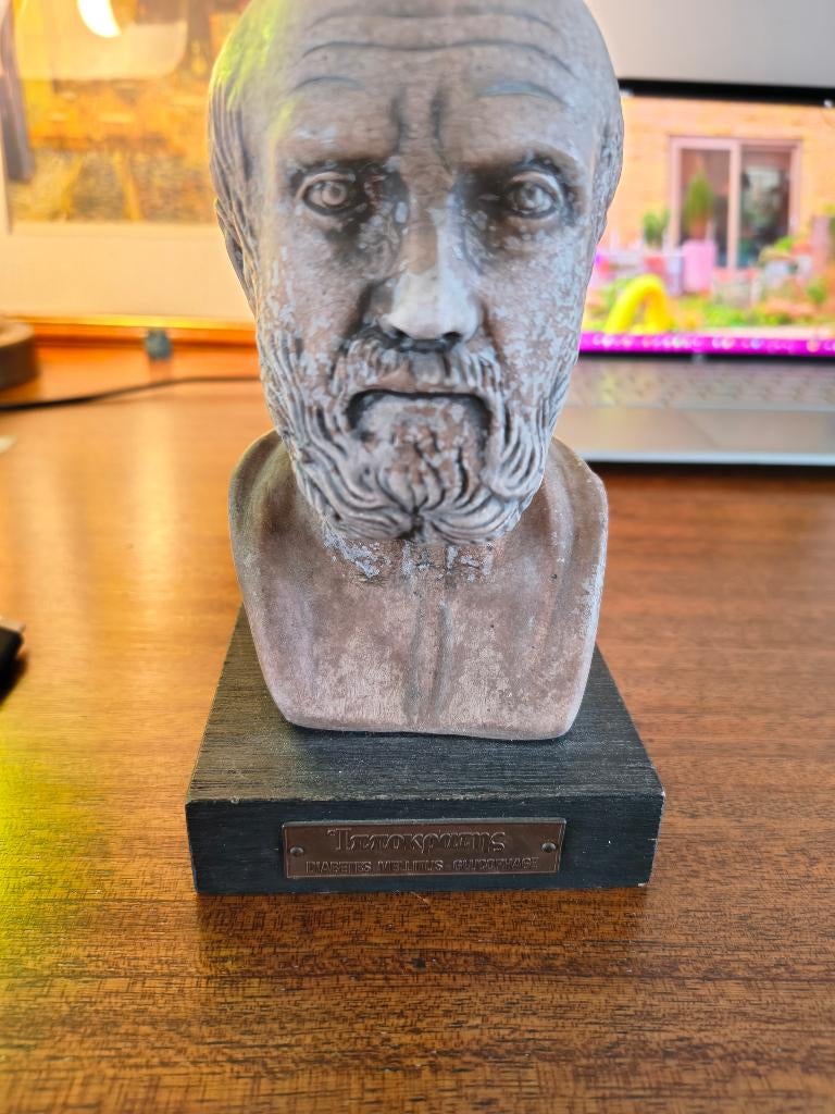 Borstbeeld Hippocrates – Vader van de Geneeskunde – Vintage, Minder dan 20 cm, Buste, Ophalen of Verzenden, Steen of Keramiek